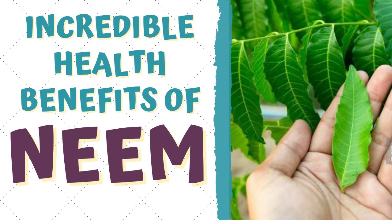 health-benefits-of-neem