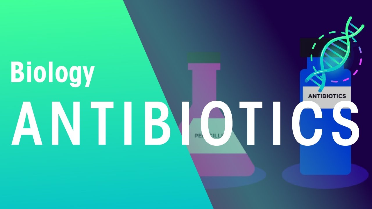 antibiotics-health-biology-fuseschool