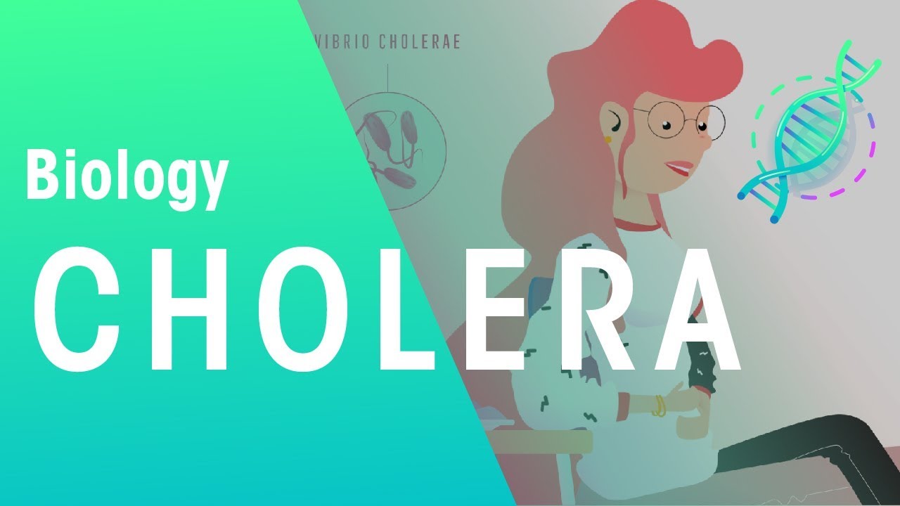 cholera-health-biology-fuseschool
